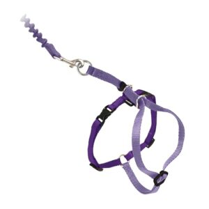 PetSafe Come With Me Kitty Harness and Bungee Leash (Large, Lilac)