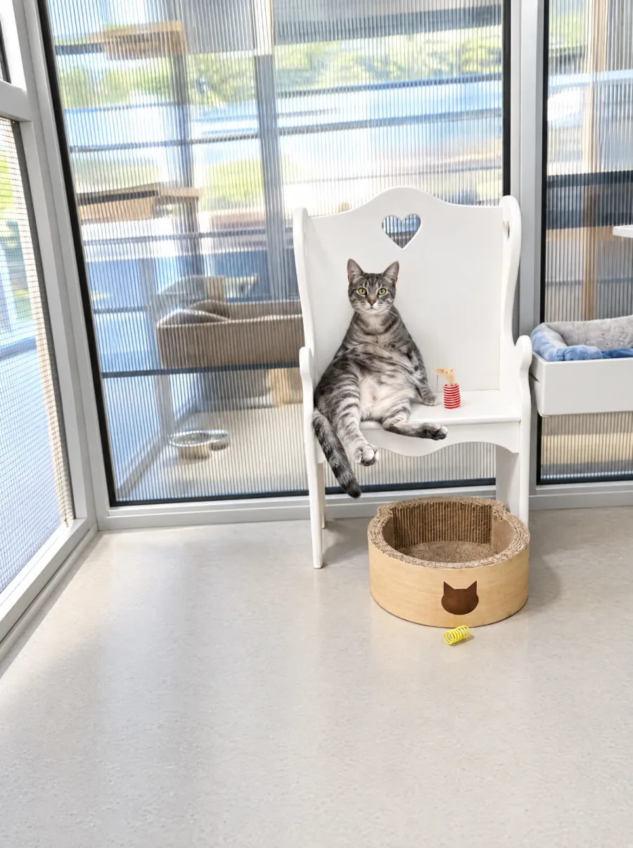Extra Large Cat Play Pens