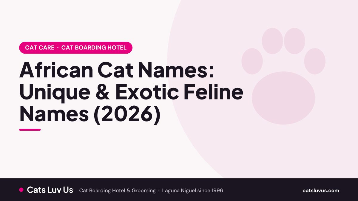 African Cat Names: Unique & Exotic Feline Names (2026)