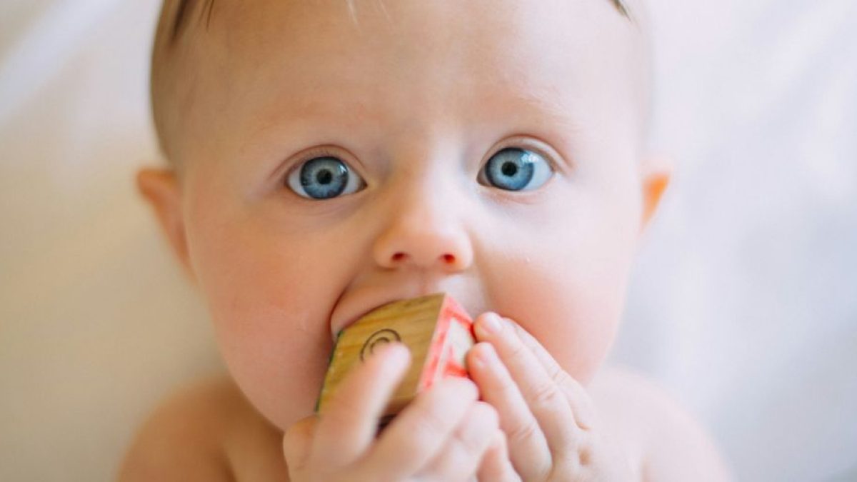 Are Baby Wipes Safe for Cats? Understanding the Risks