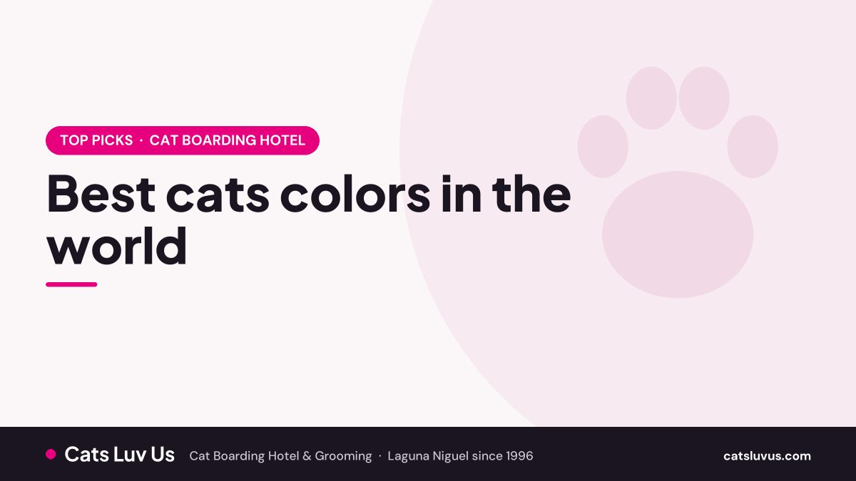 Best cats colors in the world