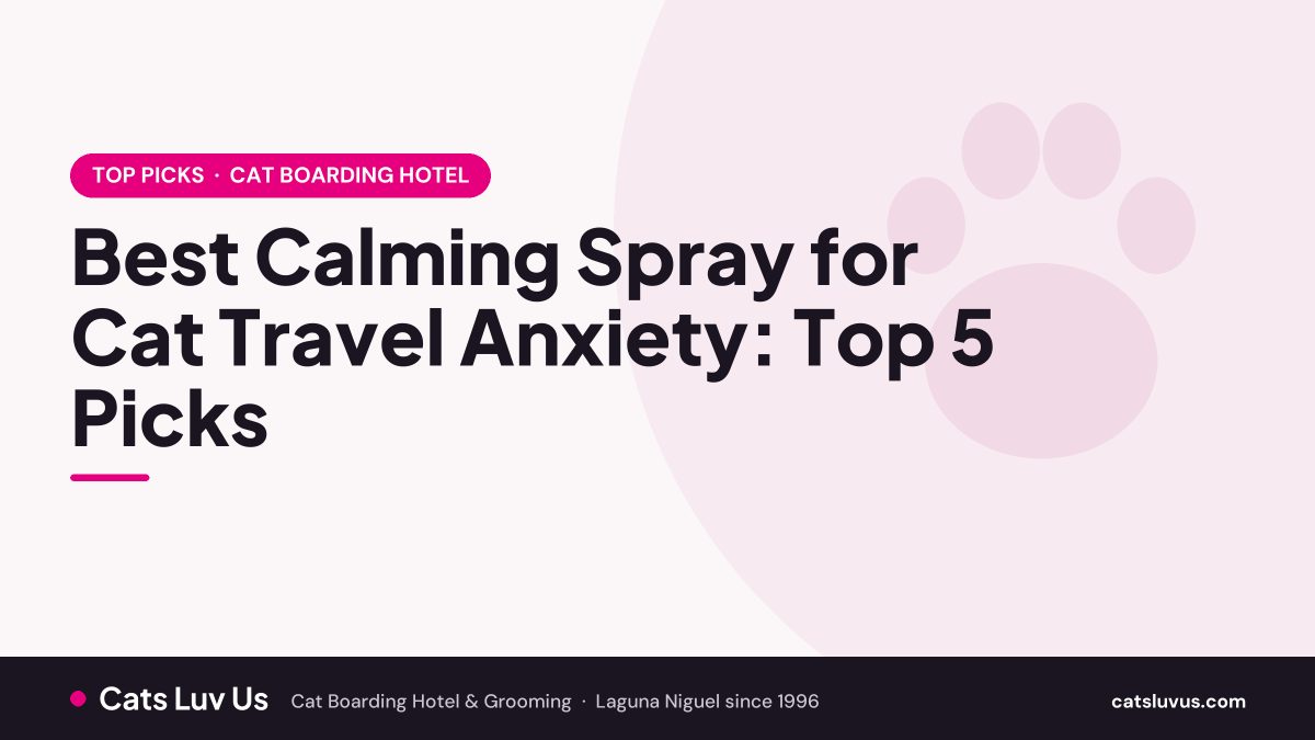 Best Calming Spray for Cat Travel Anxiety: Top 5 Picks