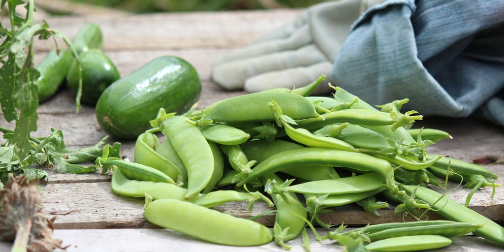 Vegetables beans peas