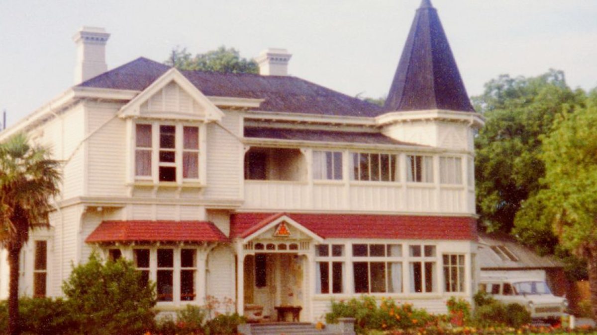 Finding the Best Cat Hostel Near Me: A Comprehensive Guide