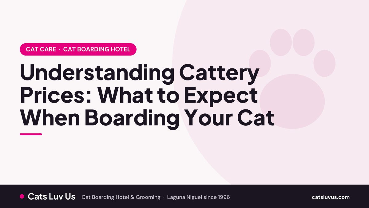 Understanding Cattery Prices: What to Expect When Boarding Your Cat
