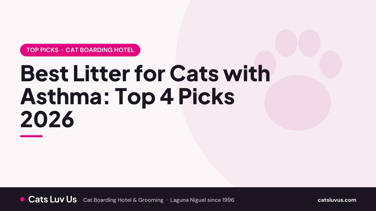 Best Litter for Cats with Asthma: Top 4 Picks 2026