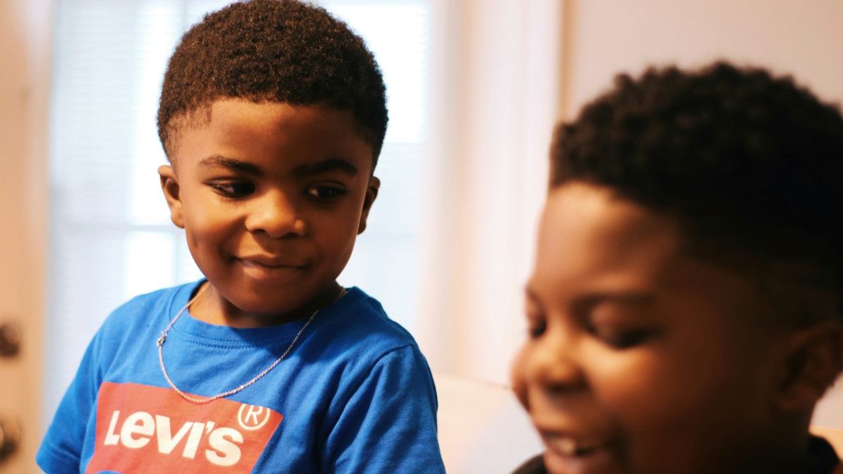 Choosing Your Second Cat: A Guide to Feline Compatibility