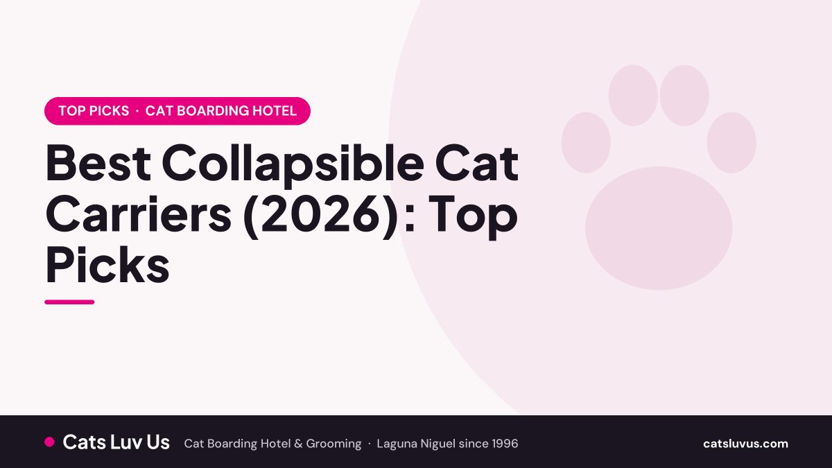 Best Collapsible Cat Carriers (2026): Top Picks