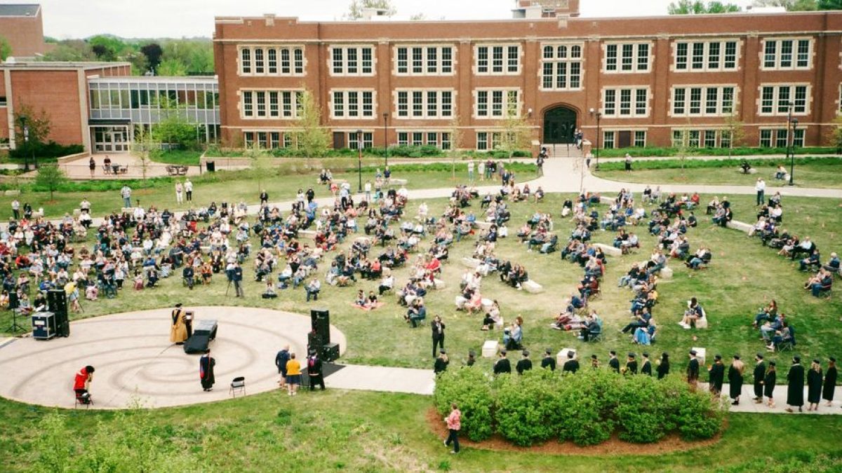 Colleges That Allow Cats: Feline-Friendly Campuses