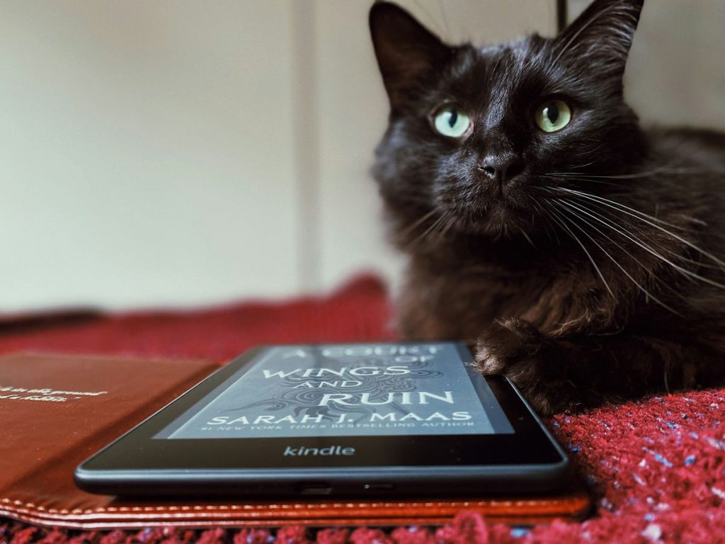 Black phone tablet cat