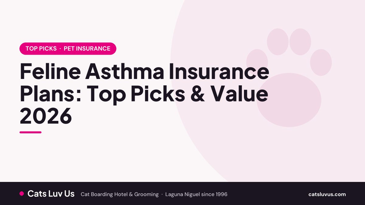 Feline Asthma Insurance Plans: Top Picks & Value 2026