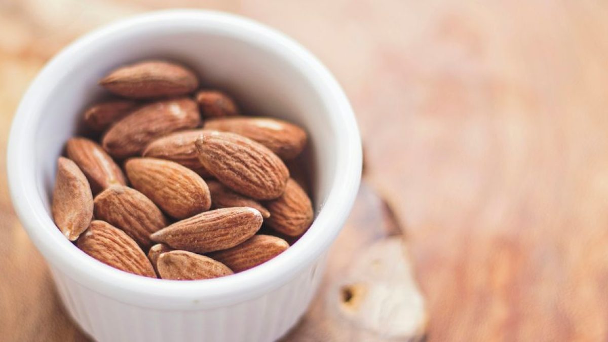 How to Choose the Right Type of Cat Food: A Nutritional Guide