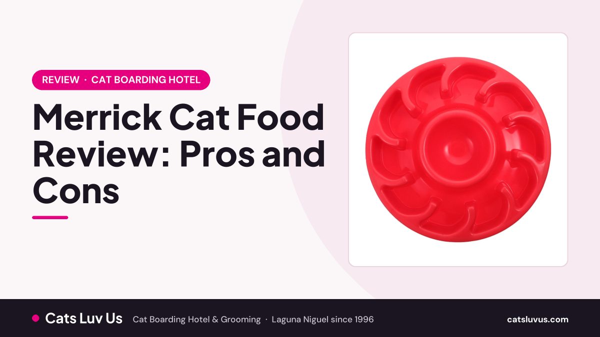 Merrick Cat Food Review: Pros and Cons