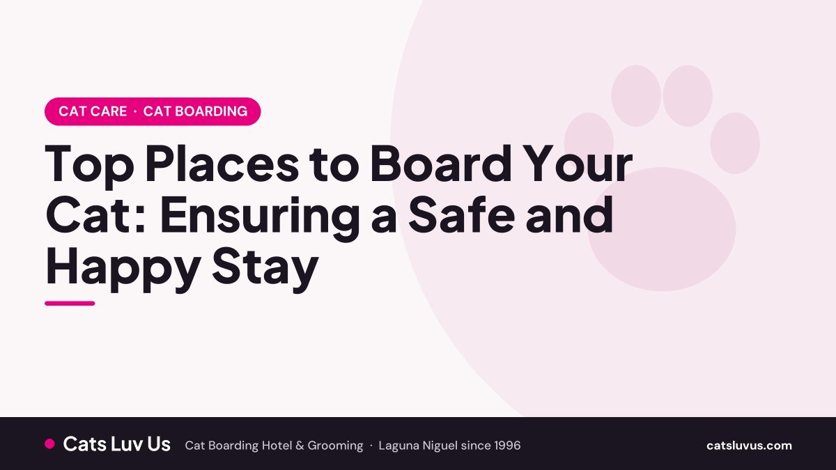 Top Places to Board Your Cat: Ensuring a Safe and Happy Stay