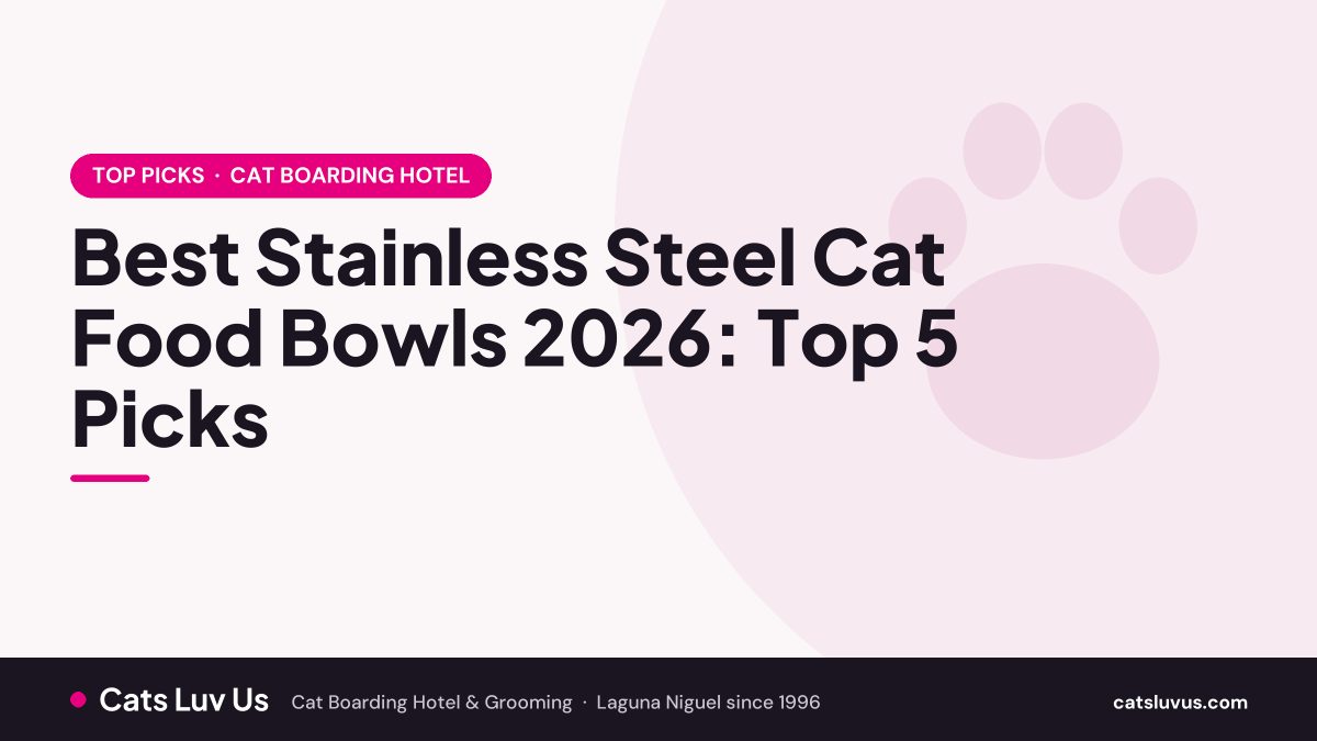 Best Stainless Steel Cat Food Bowls 2026: Top 5 Picks