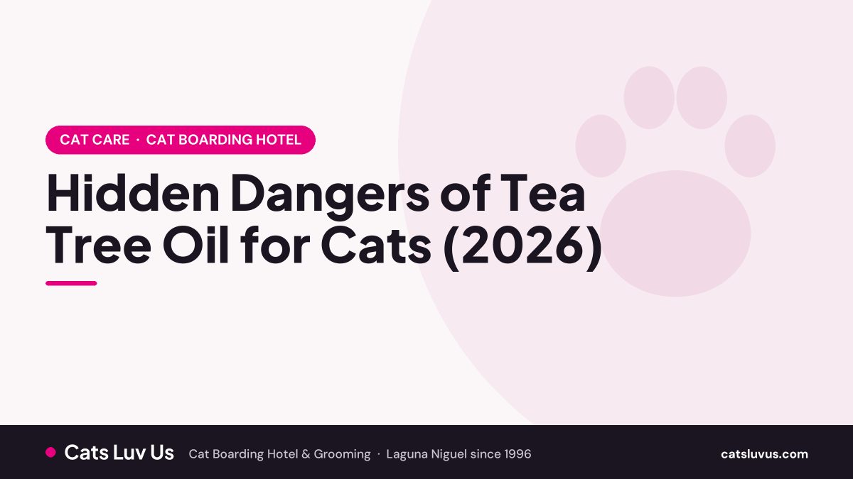 Hidden Dangers of Tea Tree Oil for Cats (2026)