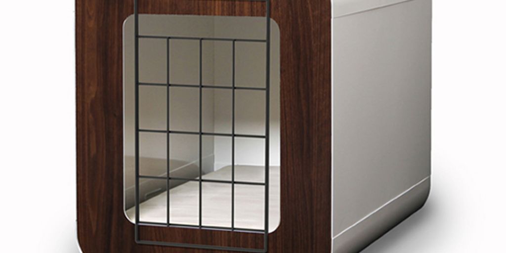 Cat kennel nearby guide featured image