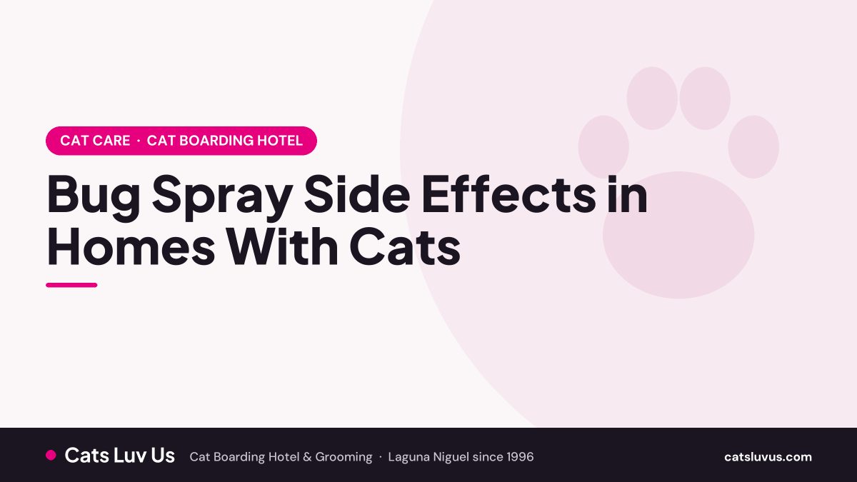 Bug Spray Side Effects in Homes With Cats
