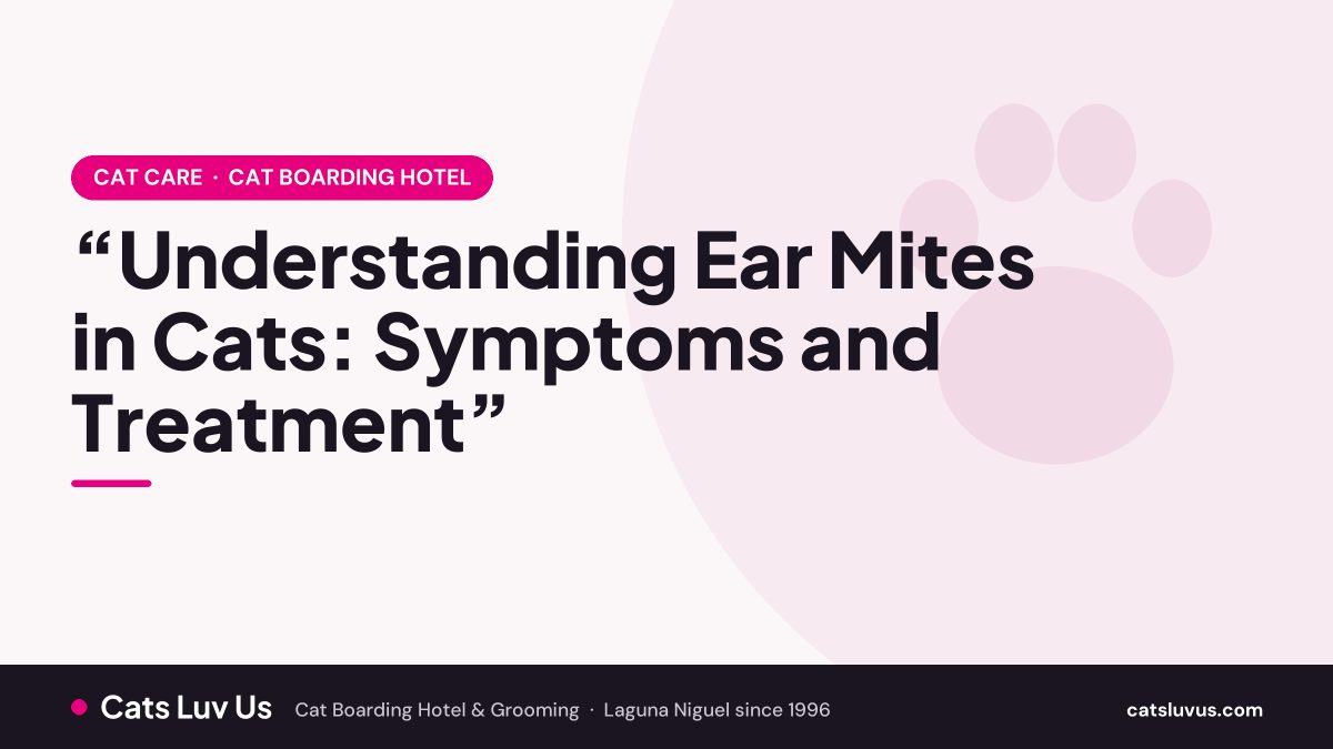 “Understanding Ear Mites in Cats: Symptoms and Treatment”