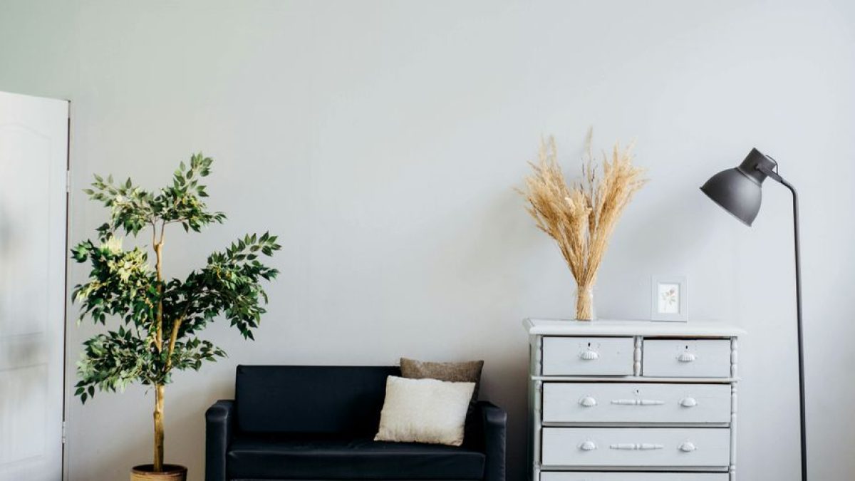 Understanding Standard Payment Terms for Home Remodeling with Cats