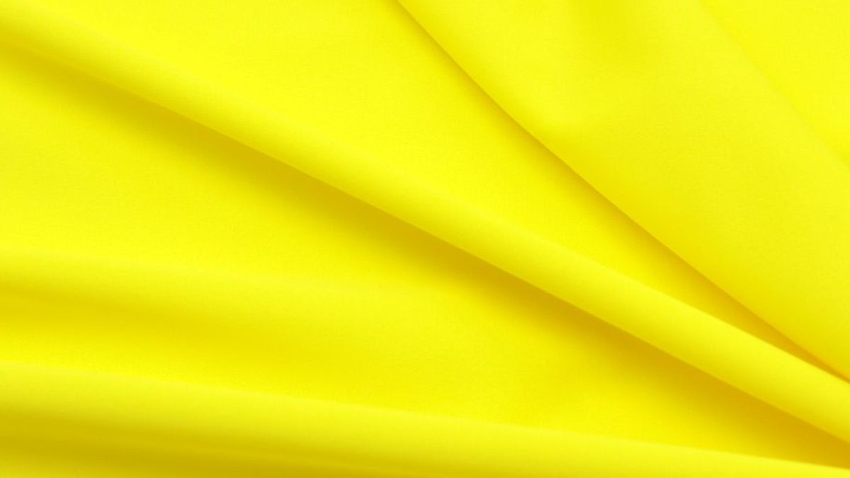 Yellow Cat Names: Bright and Sunny Names for Your Feline Companion