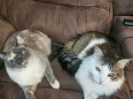 Maya and Boots
