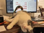 Grey is helping make reservations