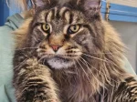 Such a big and handsome boy