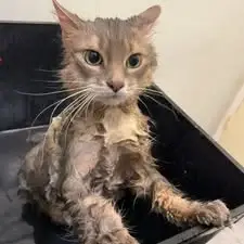 I hate having baths lol