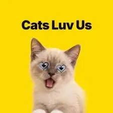 Guest at Cats Luv Us