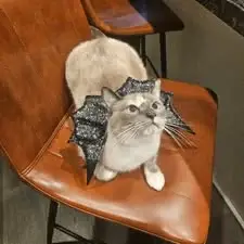 Maya the bat.